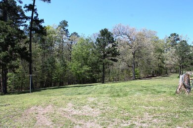 1454 Cr 420, Poplar Bluff, MO 63901 - photo 3