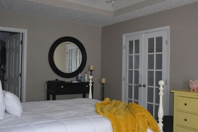 Another view of downstairs Master Bedroom with french styled double door entry