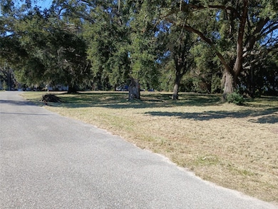 14424 Ellerbee St, Winter Garden, FL 34787 - photo 3