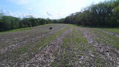 40 AC Yarwood Rd, Brooklyn, WI 53521 - photo 5