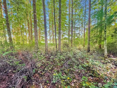 300 Kerr Rd, Silver Lake, WA 98645 - photo 4