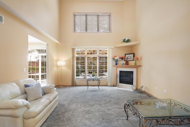 6963 Margaret Courtyard, Tinley Park, IL 60477 - photo 2