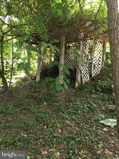 291 N Water St, Strasburg, VA 22657 - photo 7