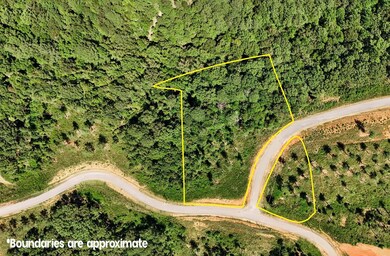 0 Vista Creek Dr unit 418544, Talking Rock, GA 30175 - photo 3