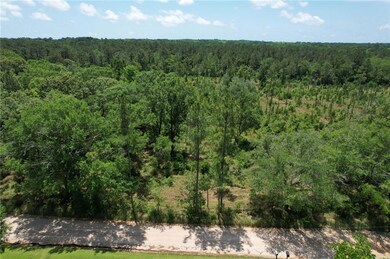 View of wooded area