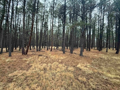 Lot 122 San Juan Dr, Angel Fire, NM 87710 - photo 2