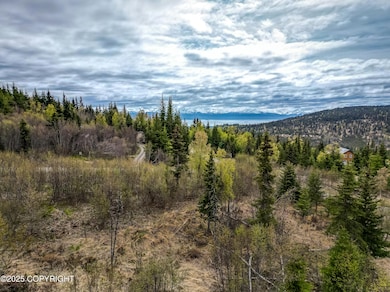 Kachemak Communications - Sarah Richards