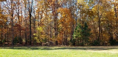 286 Brightwells Mill Rd, Madison Heights, VA 24572 - photo 7