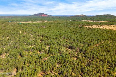 915BirdsongWay-Lakeside-AZ-5
