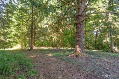110 Rawlins Rd, Toledo, WA 98591 - photo 7