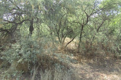 IMG_0943
