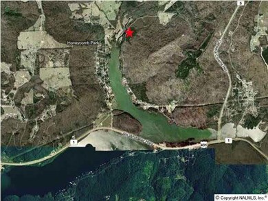 2640 White Elephant Rd, Grant, AL 35747 - photo 5