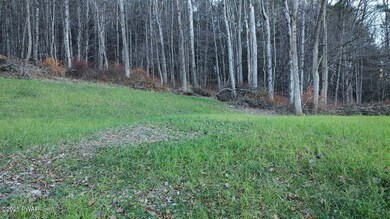 1945 Pine Mill Rd, Equinunk, PA 18417 - photo 5