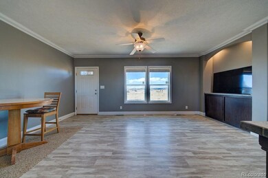 13380 Log Rd, Peyton, CO 80831 - photo 6