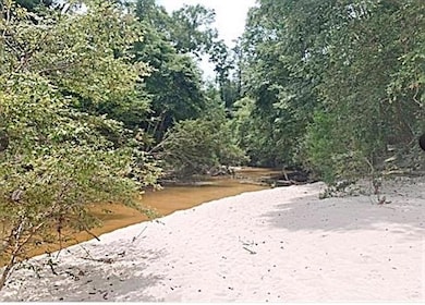 0 Bamboo Ln, Covington, LA 70435 - photo 7