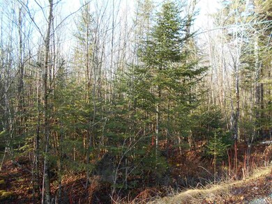 026 Mirror Lake Estates Dr unit 26, Whitefield, NH 03598 - photo 3