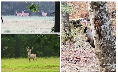 2907 Mowbray Pike, Soddy Daisy, TN 37379 - photo 4