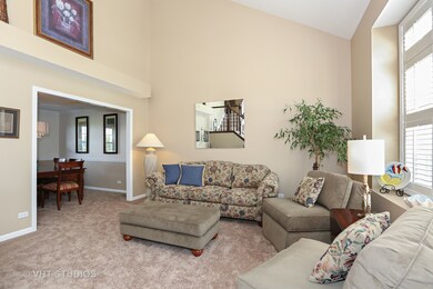 2623 High Meadow Rd, Naperville, IL 60564 - photo 6