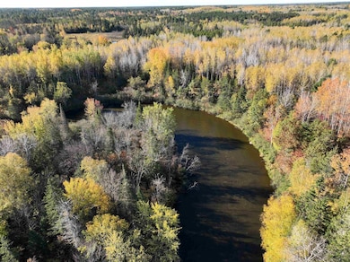 NEAR Rocky Run Rd, Harshaw, WI 54529 - photo 2