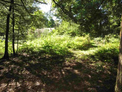 1 Amanda Ln, Rutland, VT 05701 - photo 7