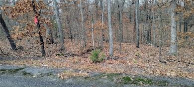 Lot 35, Block 1 Orkney Dr, Bella Vista, AR 72715 - photo 6