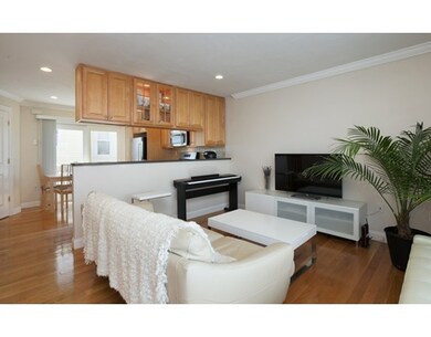 45 Chestnut St unit 3, Waltham, MA 02453 - photo 5