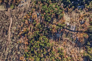 Photo 98130007000 F (1)