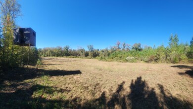 Highway 42, Culloden, GA 31016 - photo 5