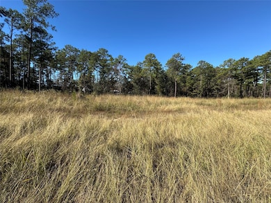 064 Private Road 6026 Tract 1-64, Brookeland, TX 75931 - photo 3