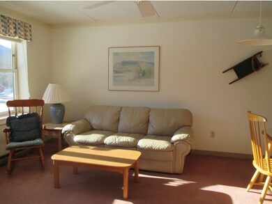 28 Packards Rd unit 331, Waterville Valley, NH 03215 - photo 4