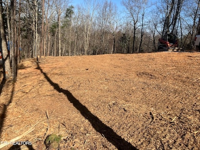 0 Ski View Ln, Sevierville, TN 37876 - photo 6