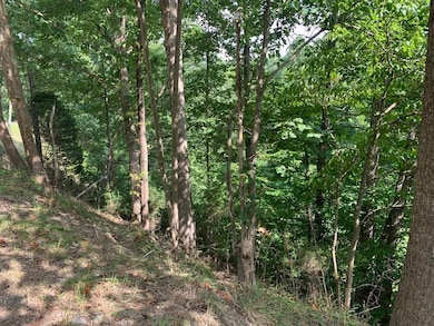 0 Cooksey Fork, Blaine, KY 41124 - photo 3