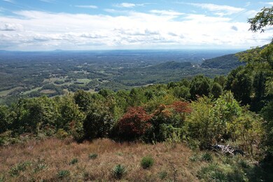 TBD Panorama Dr, Fancy Gap, VA 24328 - photo 5