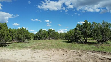 1639 Silver Lake Blvd, White Mountain Lake, AZ 85912 - photo 6