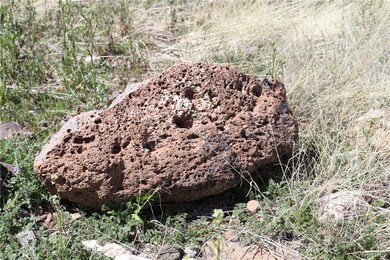 Large landscape rocks around.