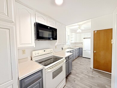 119 W Olive St, Mc Connell, IL 61050 - photo 4