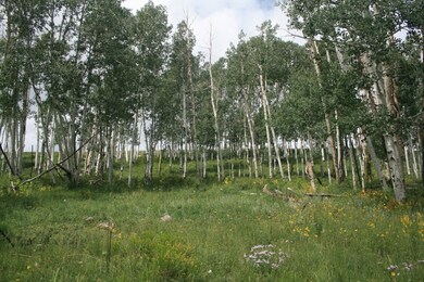 Lot view 3