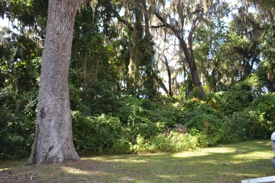river oak 569