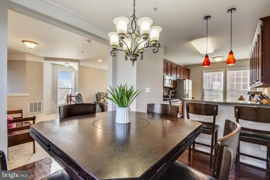 24660 Rosebay Terrace, Aldie, VA 20105 - photo 7