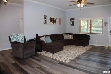 8358 E 1025th Ave, Effingham, IL 62401 - photo 5