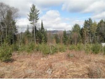 76 Hubberton Rd, Lyman, NH 03585 - photo 6