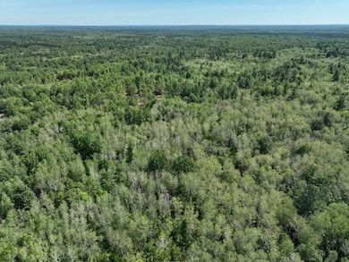 00 V/L W 13 Mile Rd unit Par E, Bitely, MI 49309 - photo 7