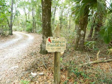 0 Noles Ln unit 302968, Crawfordville, FL 32327 - photo 7