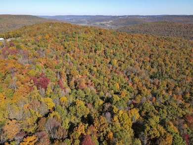 0000 Cr 935, Berryville, AR 72616 - photo 3