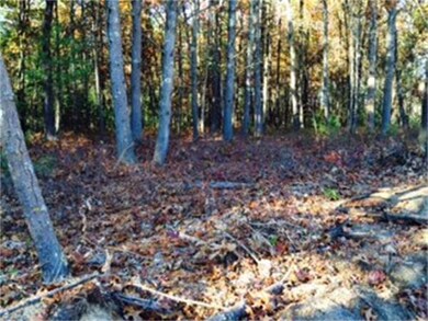 2 Alexander Way, Dunstable, MA 01827 - photo 5