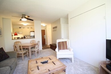 28 Packards Rd unit 328, Waterville Valley, NH 03215 - photo 5