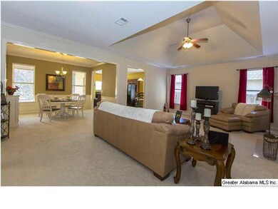 Spacious Living Room with high vaulted ceiling, an
