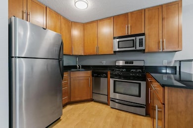 2530 1st Ave S unit N101, Minneapolis, MN 55404 - photo 5