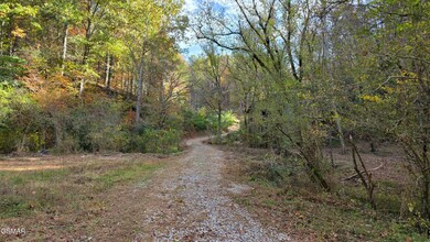 1876 Upper Middle Creek Rd, Sevierville, TN 37876 - photo 5