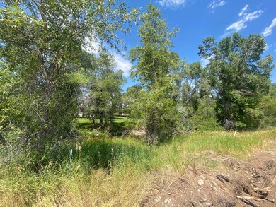 back and creek